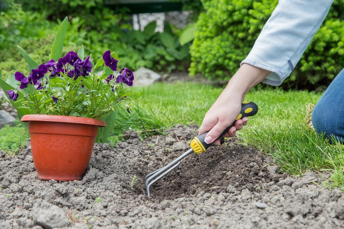 E se il giardino cominciasse in autunno?