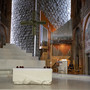 Busto si mobilita per San Francesco Busto si mobilita per San Francesco