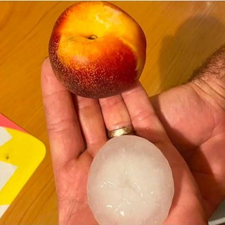 La grandine grande come una pesca da cui è stata bersagliata Seregno (foto via Naturalmeteo) La grandine grande come una pesca da cui è stata bersagliata Seregno (foto via Naturalmeteo)