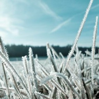 Una domenica sotto zero: -4 a Varese, -6,4 in Valganna, -7 a Varano Borghi. Il Centro Geofisico: «Domani possibile neve»