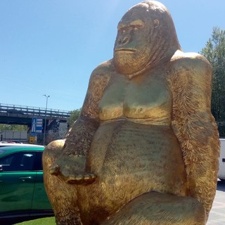 La statua del gorilla dorato nel parcheggio di Arredo Più