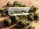 Hashish per due milioni di euro nel camion: arrestato corriere a Fagnano Olona Hashish per due milioni di euro nel camion: arrestato corriere a Fagnano Olona