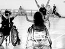 Una carrozzina per realizzare un sogno: l’Handicap Sport Varese lancia una raccolta fondi Una carrozzina per realizzare un sogno: l’Handicap Sport Varese lancia una raccolta fondi