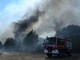 Dodici morti a causa di un incendio in Andalusia: alcune vittime trovate nelle auto