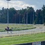 Varese, ecco il bando per la nuova gestione dell'ippodromo. «Adeguamento della struttura, ma anche valorizzazione di altre attività e sinergie con palaghiaccio e tennis»