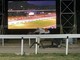Emozioni e magia all'ippodromo di Varese Emozioni e magia all'ippodromo di Varese