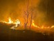 Incendio nella notte nei boschi del Verbano Cusio Ossola