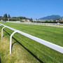 Domenica all'ippodromo il 75° Gran Premio Città di Varese