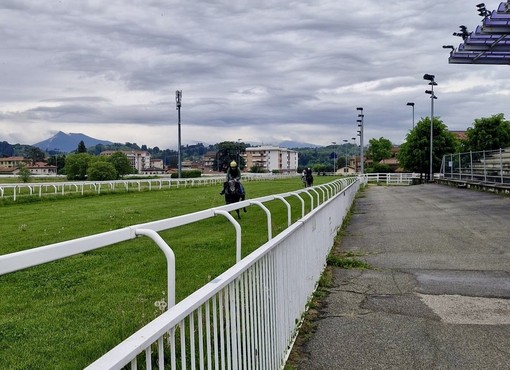 Ippodromo, la "Varese Turf &amp; Sport" annuncia l'apertura della pista in erba: «Innovazioni per la stagione estiva alle Bettole»