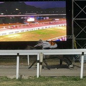 Emozioni e magia all'ippodromo di Varese