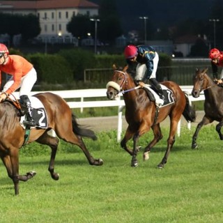 ( foto Giorgio Filimberti)