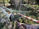 Auto si schianta sulla curva a Olgiate, coinvolti 4 giovani: uno è grave Auto si schianta sulla curva a Olgiate, coinvolti 4 giovani: uno è grave