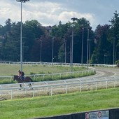 L'ippodromo di Varese L'ippodromo di Varese