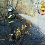I vigili del fuoco impegnati a Somma Lombardo