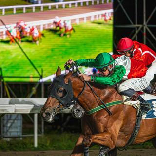 Martedì di emozioni al Varese Park Racecourse: prima corsa alle 20.20, il clou è il Premio Guido Ermolli