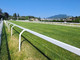 Domenica all'ippodromo il 75° Gran Premio Città di Varese
