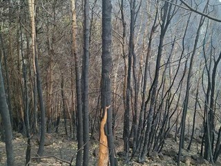 Alcune immagini dell'incendio pubblicata da OssolaNews.it