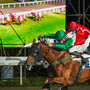 Martedì di emozioni al Varese Park Racecourse: prima corsa alle 20.20, il clou è il Premio Guido Ermolli Martedì di emozioni al Varese Park Racecourse: prima corsa alle 20.20, il clou è il Premio Guido Ermolli
