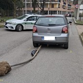 Incidente a Busto, palo si incastra sotto auto Incidente a Busto, palo si incastra sotto auto