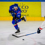 Varese ama l'hockey e merita tutto (Foto Matteo Canevari - PhotoSportandMore)