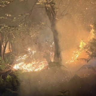 Incendi in Val d'Ossola causati dai fulmini dei temporali: elicotteri in azione su più fronti