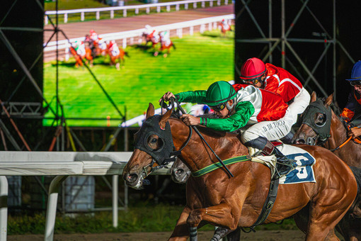 Martedì di emozioni al Varese Park Racecourse: prima corsa alle 20.20, il clou è il Premio Guido Ermolli Martedì di emozioni al Varese Park Racecourse: prima corsa alle 20.20, il clou è il Premio Guido Ermolli