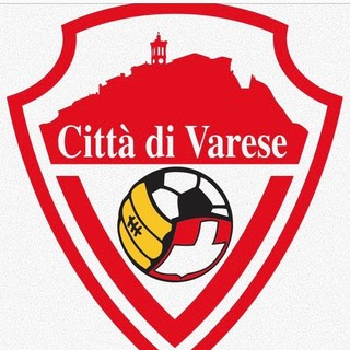 Il logo del Città di Varese cambierà presto