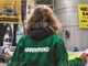 Greenpeace e CSV Insubria Varese: incontro di formazione per volontari