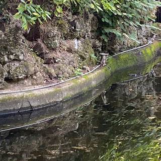 Il laghetto ai Giardini Estensi in una foto d'archivio