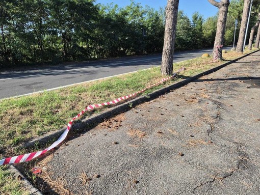 Castellanza, è un 41enne marocchino l’uomo ucciso e trovato in un parcheggio Castellanza, è un 41enne marocchino l’uomo ucciso e trovato in un parcheggio