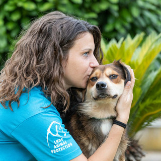 &quot;Un inverno senza gabbie&quot;, la campagna di LDC Animal Protection: «Aprite casa e cuore»