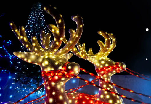 WEEKEND. Mercatini in piazza, si accende l'albero di Natale e tanto altro: tutti gli eventi del fine settimana a Varese