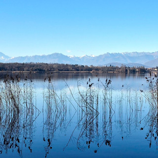 METEO. L'anticipo di primavera continua: «Giornate ben soleggiate e con temperature oltre la media del periodo»