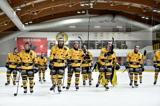 Mastini, via al sogno playoff: ecco le modalità per l'acquisto dei biglietti