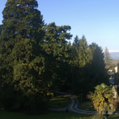 Il cielo oggi a Varese (foto webcam Centro Geofisico Prealpino) Il cielo oggi a Varese (foto webcam Centro Geofisico Prealpino)