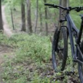 LA LETTERA. «Che fastidio danno quattro ragazzini in mountain bike nei boschi?» LA LETTERA. «Che fastidio danno quattro ragazzini in mountain bike nei boschi?»