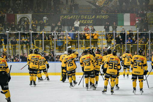 Mastini e pubblico giallonero sono una cosa sola (Foto Galbiati) Mastini e pubblico giallonero sono una cosa sola (Foto Galbiati)