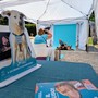 Musi di Varese, ultimi tre giorni per votare: superati i 100mila voti Musi di Varese, ultimi tre giorni per votare: superati i 100mila voti