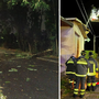 Un albero caduto a Busto Arsizio e Vigili del fuoco al lavoro nella notte a Samarate (foto dalla pagina Facebook del Comune)