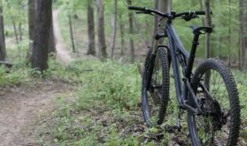 LA LETTERA. «Che fastidio danno quattro ragazzini in mountain bike nei boschi?»