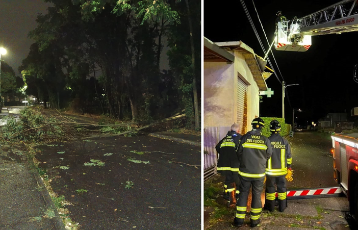 Un albero caduto a Busto Arsizio e Vigili del fuoco al lavoro nella notte a Samarate (foto dalla pagina Facebook del Comune)