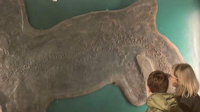 Domenica ultime visite guidate al Museo dei Fossili di Besano prima della chiusura per riallestimento