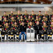 Forza Mastini, tutta Varese è con voi
