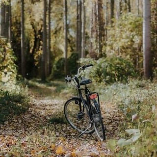 (foto generica d'archivio)