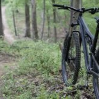 LA LETTERA. «Che fastidio danno quattro ragazzini in mountain bike nei boschi?»