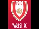«Ecco il nuovo logo sulle maglie del Varese Football Club» «Ecco il nuovo logo sulle maglie del Varese Football Club»