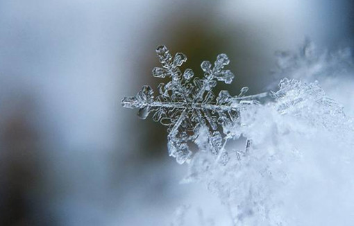 Neve, ma non troppo. Bertoni: «Dal tardo pomeriggio qualche fiocco fino a 300 metri» Neve, ma non troppo. Bertoni: «Dal tardo pomeriggio qualche fiocco fino a 300 metri»
