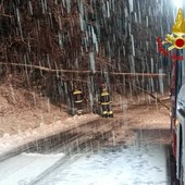 Forte nevicata nell'Alto Varesotto: disagi anche per il trasporto di Autolinee Varesine: «Statale della Valganna chiusa» Forte nevicata nell'Alto Varesotto: disagi anche per il trasporto di Autolinee Varesine: «Statale della Valganna chiusa»