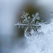 Neve, ma non troppo. Bertoni: «Dal tardo pomeriggio qualche fiocco fino a 300 metri»