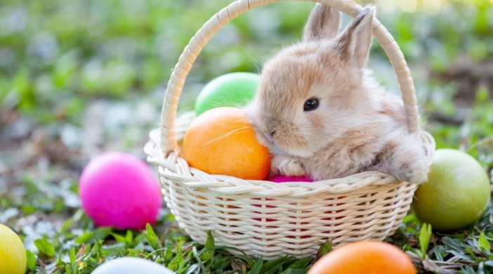 A SPASSO NEL WEEKEND. Uova, street food e caccia al tesoro. Ecco cosa fare nel fine settimana di Pasqua
